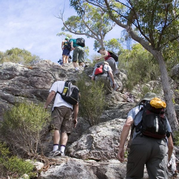 large group climbing Mt Maroon in Australia